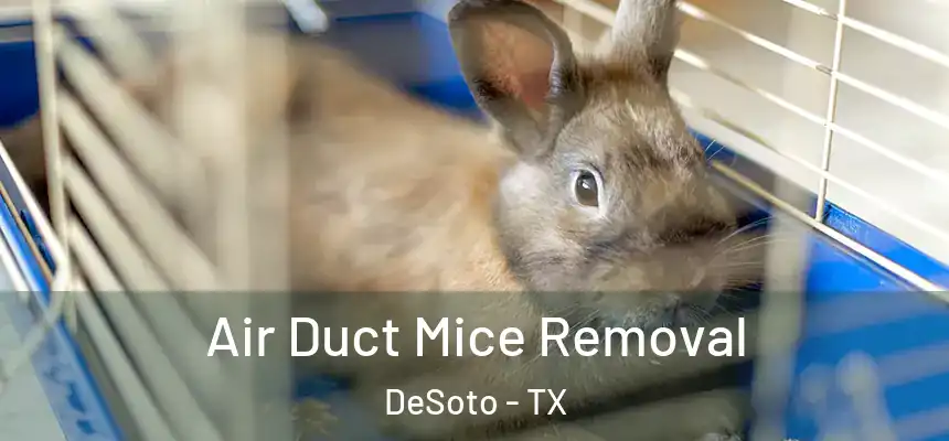  Air Duct Mice Removal DeSoto - TX