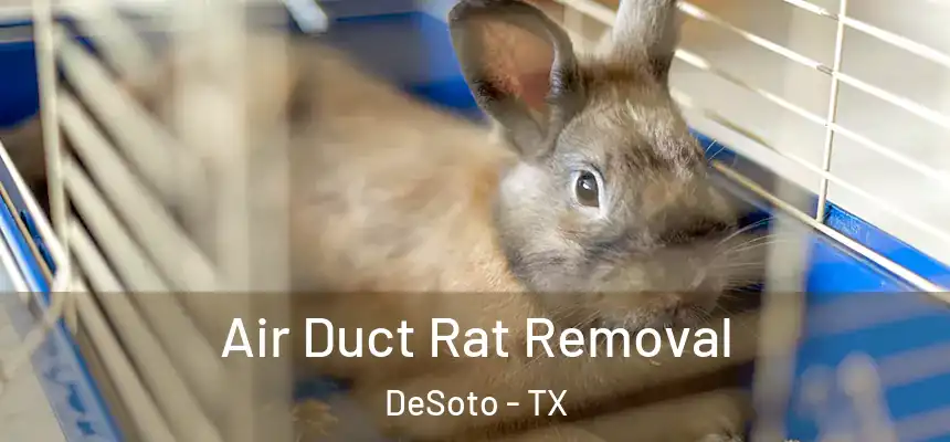  Air Duct Rat Removal DeSoto - TX