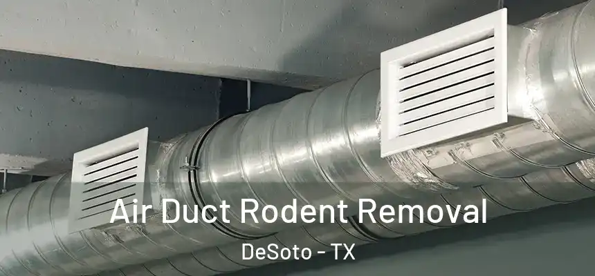  Air Duct Rodent Removal DeSoto - TX