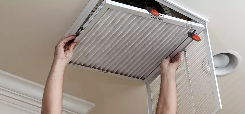 Preventive Cockroach-Proofing for Ducts in DeSoto