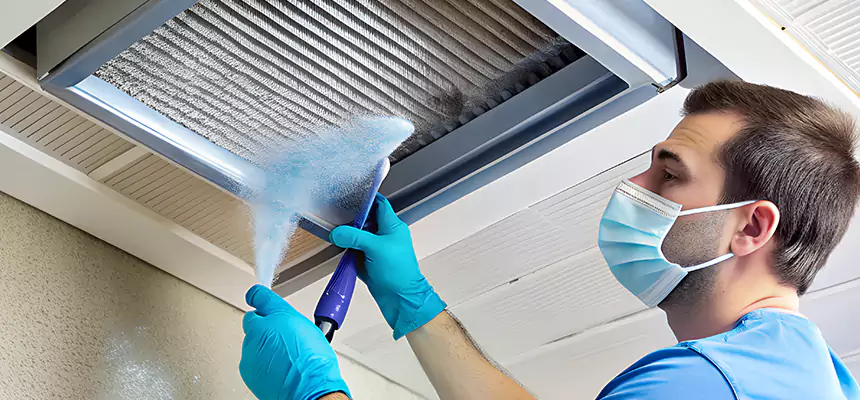 Proactive Dryer Vent & Auxiliary Duct Pollen Cleanup in DeSoto, TX