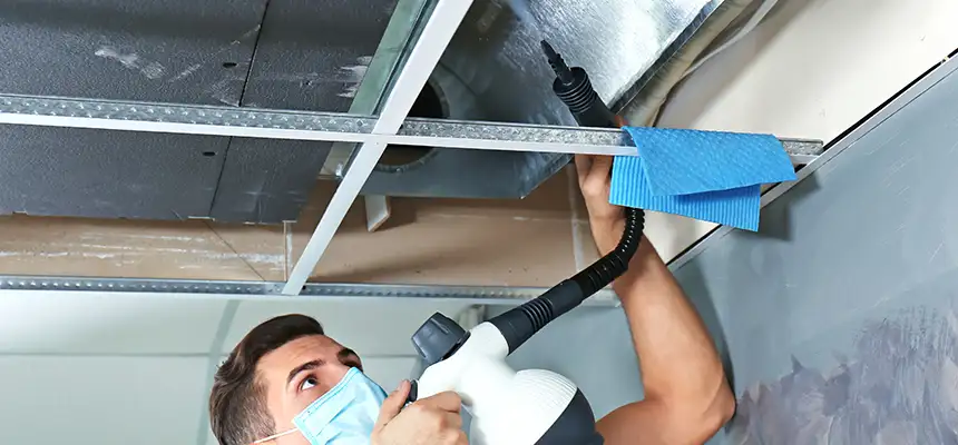 Our Air Duct Rodent Removal Services in DeSoto, TX