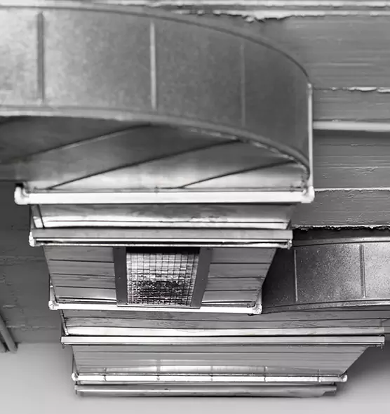 Professional Air Duct Pest Removal in DeSoto, TX