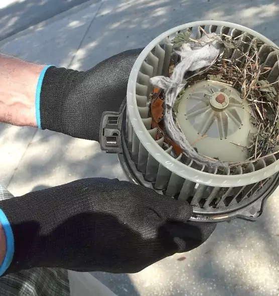 About Air Duct Rat Removal in DeSoto, TX