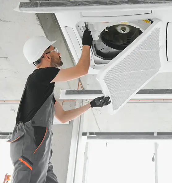 About Air Duct Rodent Removal in DeSoto, TX