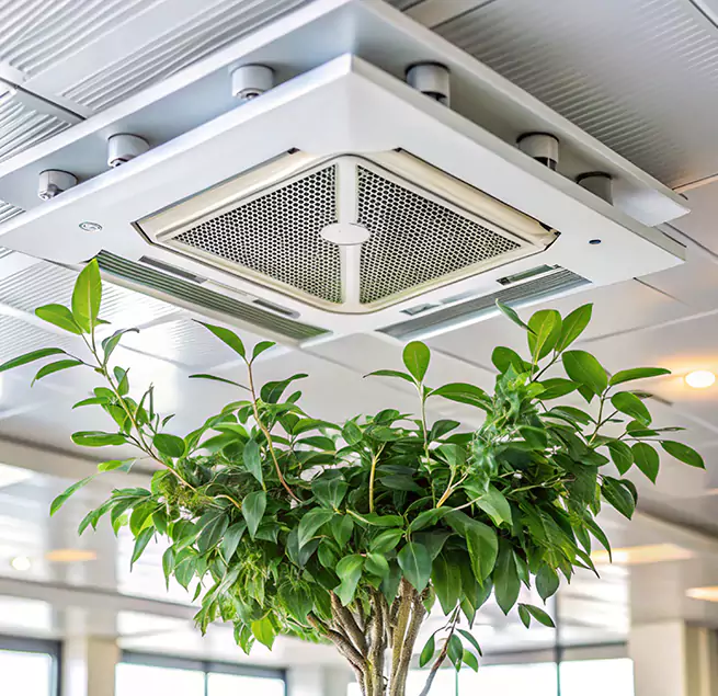 Why Homeowners & Businesses Trust Us in DeSoto, TX?