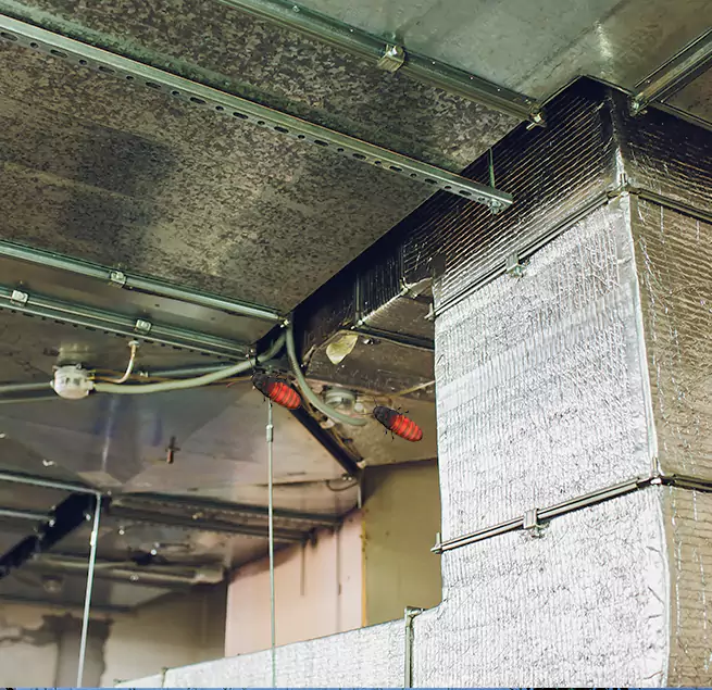 Why Homeowners & Businesses Trust Us DeSoto, TX?