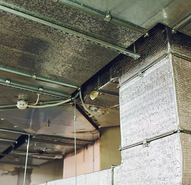 Why Homeowners & Businesses Trust Us in DeSoto, TX?