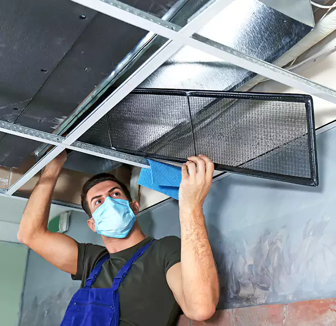 Why Homeowners Businesses Trust Us in DeSoto, TX